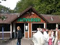 Skovkroen